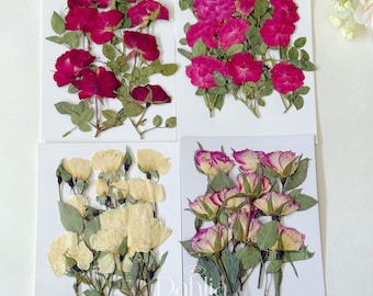 May include: Four pressed flower art pieces featuring roses. The top left has deep red roses, the top right has bright pink roses, the bottom left has cream-colored roses, and the bottom right has pink and white roses.