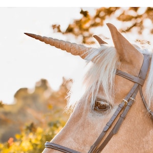 Textured Unicorn Horn for Horses and Ponies / Easy Adjustable Straps / Realistic Unicorn Horn Browband / Unicorn Corner Original Design