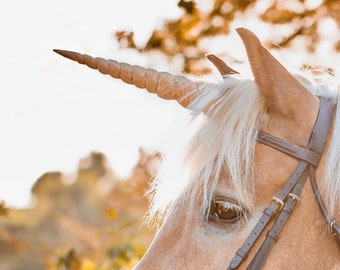 Textured Unicorn Horn for Horses and Ponies / Easy Adjustable Straps / Realistic Unicorn Horn Browband / Unicorn Corner Original Design