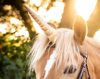 Textured Unicorn Horn for Horses & Ponies: Adjustable Straps, Realistic Design