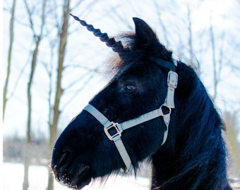 Unicorn Horn for Horse or Pony / Realistic, Lightweight and Easy to Attach / Adjustable Straps / Gift for Horse Lover / 3 Sizes Available