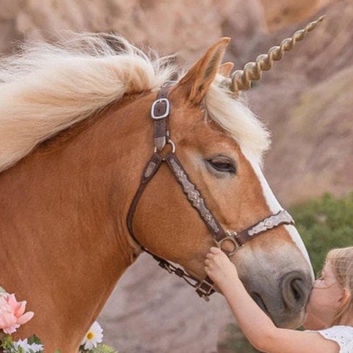 Unicorn Horn for Horses Ponies and Minis / Easy to Attach Etsy