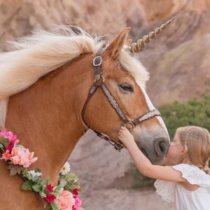 Disfraz de Caballo para Desfiles Disfraces para Equinos de Cualquier Talla  -  México