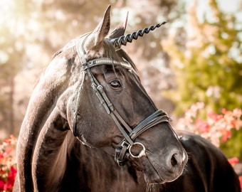 PRE ORDER for Sold Out Colors / Unicorn Horn for Horses with Adjustable Straps / Unicorn Browband / Easy to Attach / 3 Sizes Available