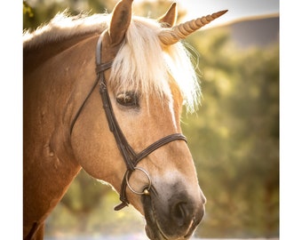 Textured Unicorn Horn for Horses and Ponies / Easy Adjustable Straps / Realistic Unicorn Horn Browband / Unicorn Corner Original Design