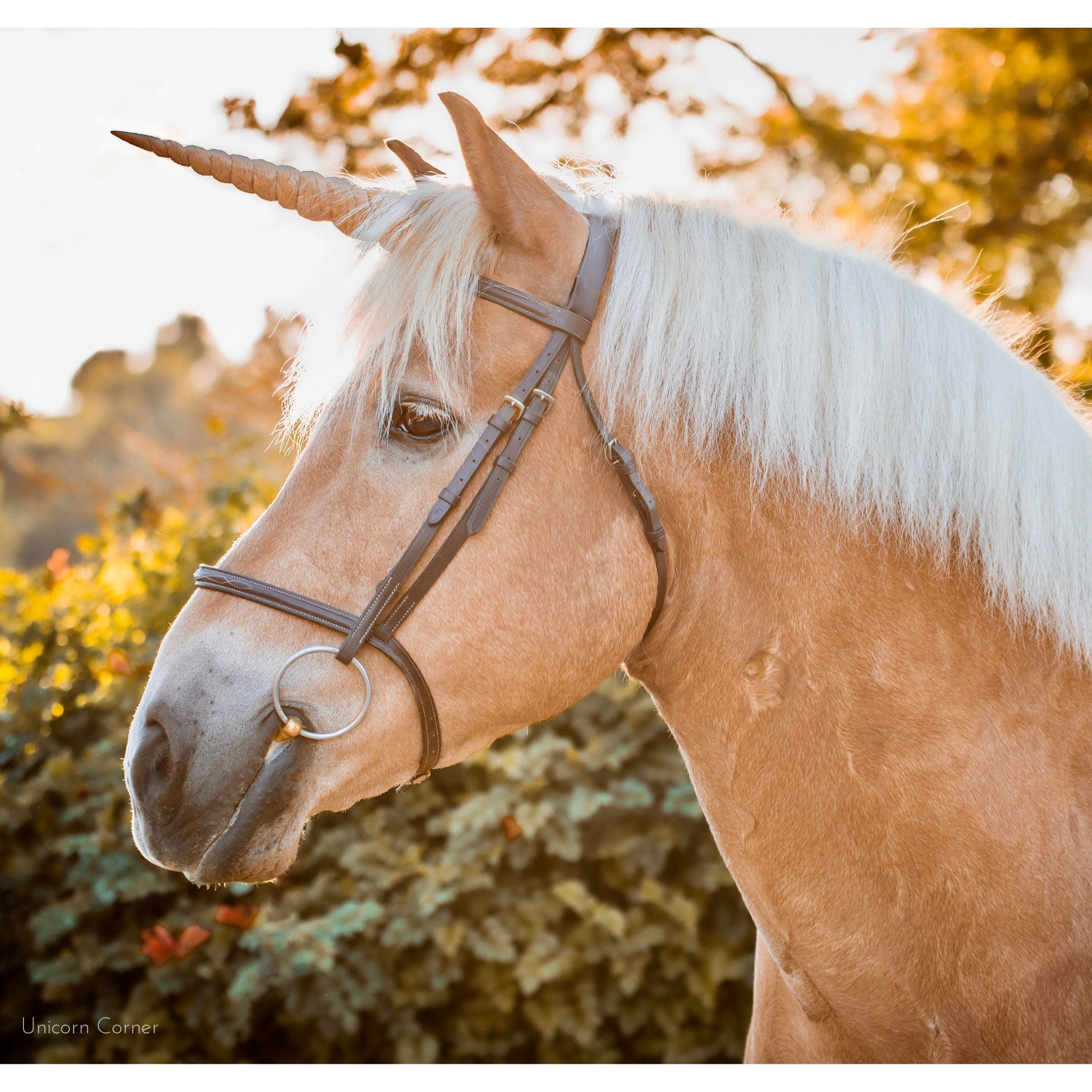 Textured Unicorn Horn for Horses and Ponies / Easy Adjustable Straps /  Realistic Unicorn Horn Browband / Unicorn Corner Original Design -   Canada