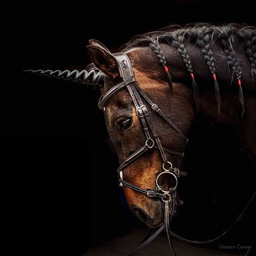 Unicorn Horn for Horses & Ponies / Unicorn Browband / Gift for Etsy