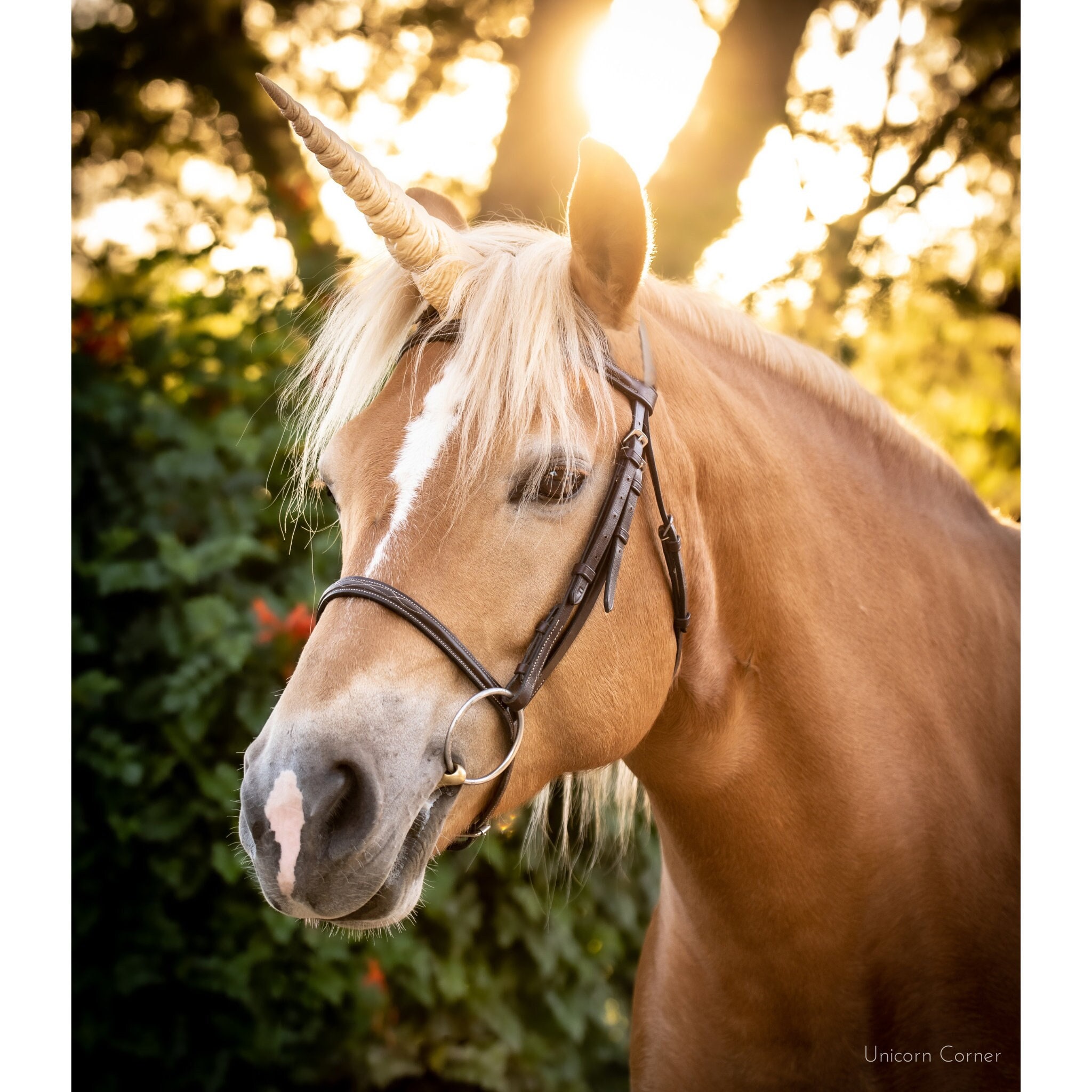 未使用　UNICORN　ユニコーン　USACORN　ストラップ il_fullxfull.3709818729_htz1.jpg