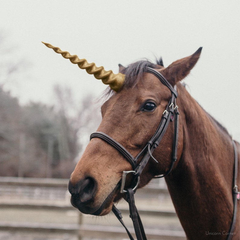 May include: A brown horse with a gold unicorn horn, wearing a brown leather bridle and a black halter.