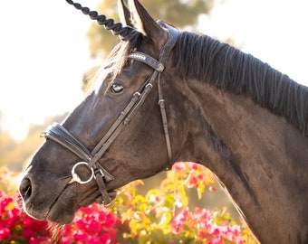 Unicorn Horn for Horses with Adjustable Straps / Unicorn Browband / Easy to Attach / 3 Sizes Available for Minis, Ponies, Draft Horses