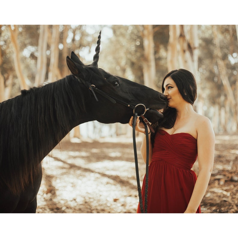 May include: A woman in a red strapless dress is looking at a black horse with a unicorn horn. The horse is wearing a black leather halter and bridle.