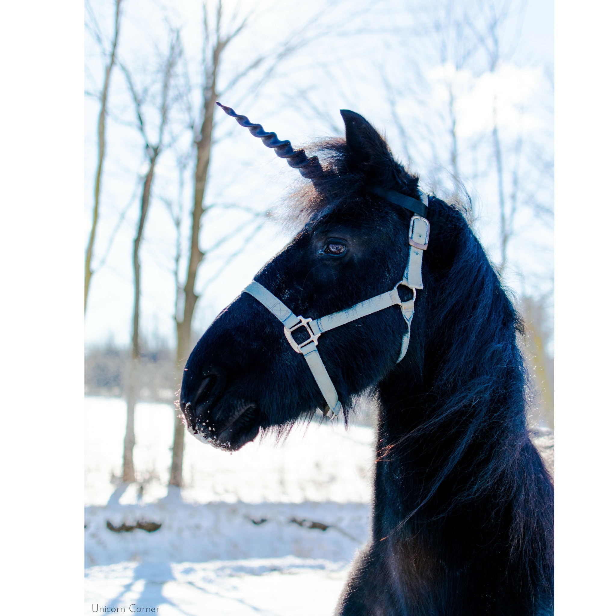 Corne de Licorne Pour Cheval ou Poney/Réaliste, Léger et Facile à Attacher Sangles Réglables Cadeau 