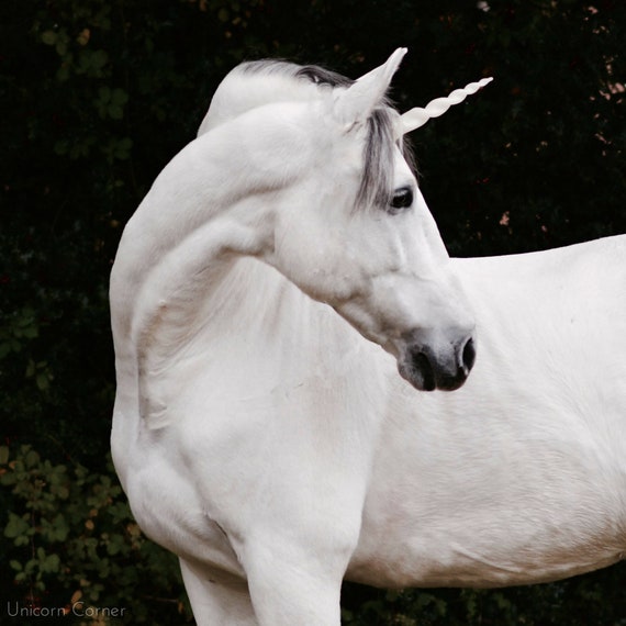 Realistic Unicorn Horn