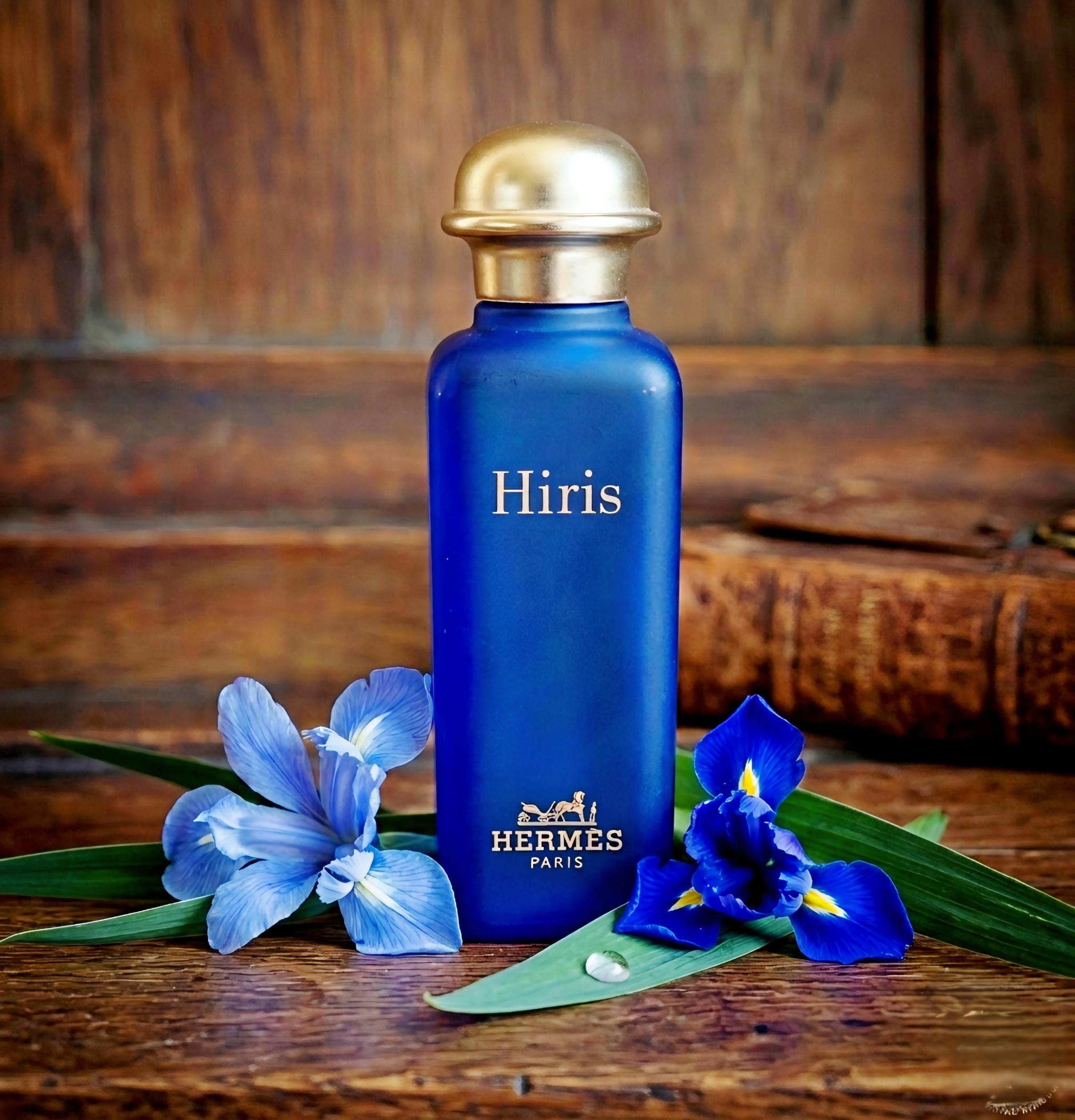 Hermes Discontinued - Etsy