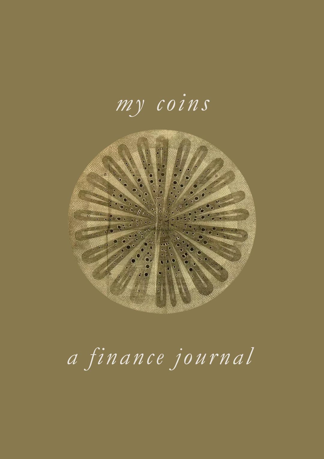 FINANCE JOURNAL | A4 Template Printable Monthly Budget, Expenses ...