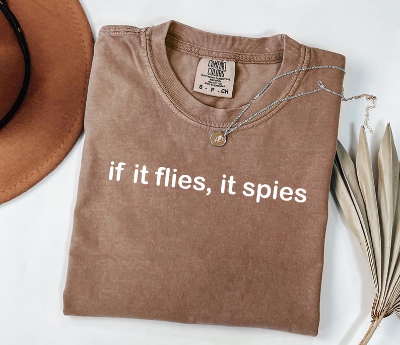 Puede incluir: Una camiseta marr&oacute;n Comfort Colors con la frase "if it flies, it spies" impresa en blanco. Un collar plateado con un peque&ntilde;o colgante descansa sobre la camiseta. Un sombrero marr&oacute;n y una planta seca est&aacute;n en el fondo.