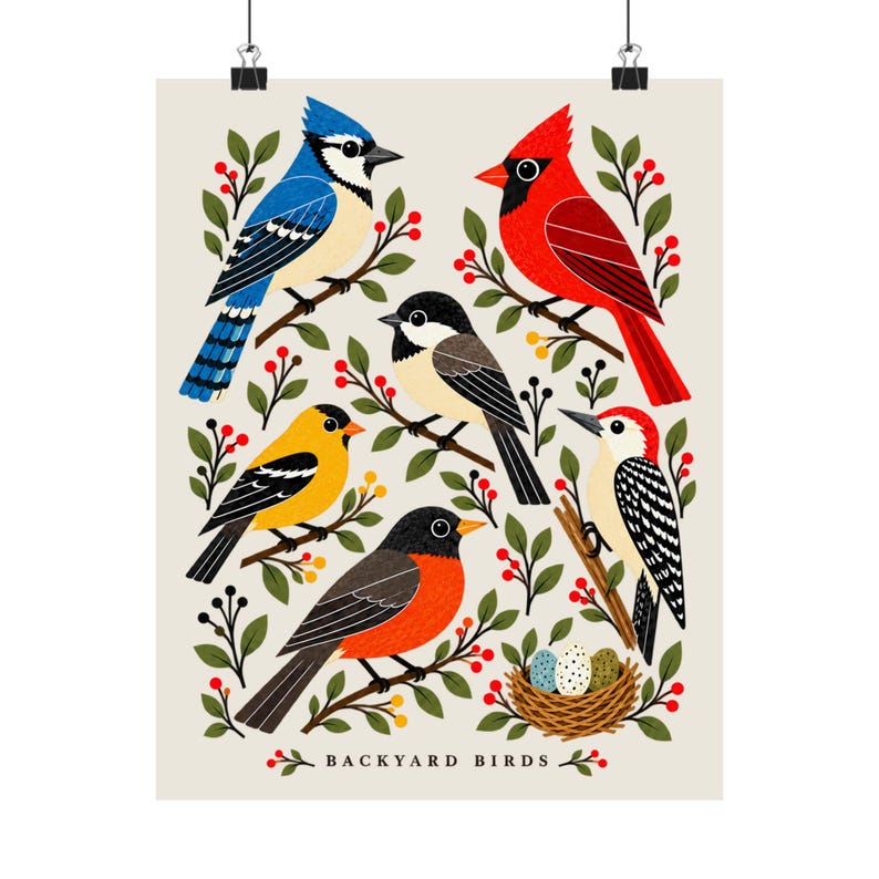 Backyard Bird Wall Art — Backyard Birds Illustrated Poster, Colorful Nature Print for a Reading Nook image 6