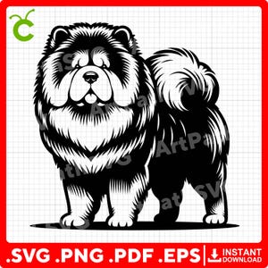 Chow Chow Dog SVG, Chow Chow Standing SVG for Cricut – svg, pdf, png, eps files – Perfect for Vinyl Stickers, Decor, and T-Shirts.