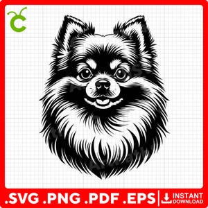 Cute Pomeranian Spitz Head SVG for Cricut – svg, pdf, png, eps files – Perfect for Vinyl Stickers, Decor, and T-Shirts.
