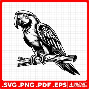 Ara Papagei SVG für Cricut - svg, pdf, png, eps Dateien - Perfekt für Vinyl-Aufkleber, Dekor und T-Shirts.