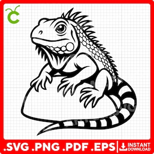 Iguane SVG | Lézard SVG | Clipart reptile | Animal exotique SVG | Iguane vert | Fichiers de découpe Cricut et laser | Téléchargement numérique