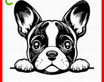 Peeking French Bulldog, Cute Frenchie SVG for Cricut – svg, pdf, png, eps files – Perfect for Vinyl Stickers, Decor, and T-Shirts.