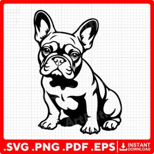 Può includere: Grafica in bianco e nero di un bulldog francese seduto. Il design stilizzato mette in risalto i tratti distintivi del cane, con grandi orecchie e un volto caratteristico. Informazioni sul tipo di file in basso.