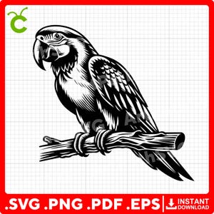May include: A black and white illustration of a parrot perched on a branch. The parrot has a large beak and detailed feathers.