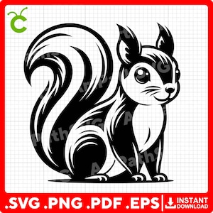 Peut inclure: Une illustration en noir et blanc d'un écureuil avec une queue touffue. L'écureuil est assis sur ses pattes arrière, ses pattes avant reposant sur son ventre. L'écureuil a une expression mignonne et de type dessin animé.