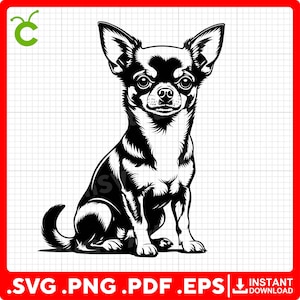 Cute Chihuahua Dog Sitting SVG, Chihuahua SVG for Cricut – svg, pdf, png, eps files – Perfect for Vinyl Stickers, Decor, and T-Shirts.