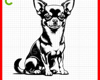 Cute Chihuahua Dog Sitting SVG, Chihuahua SVG for Cricut – svg, pdf, png, eps files – Perfect for Vinyl Stickers, Decor, and T-Shirts.