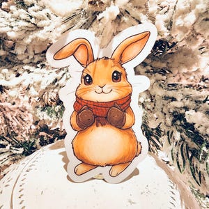 May include: A brown bunny wearing a red scarf and mittens. The bunny is standing on a white surface with a decorative border.