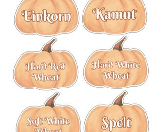 May include: Six pumpkin-shaped stickers with the names of different grains: Einkorn, Kamut, Hard Red Wheat, Hard White Wheat, Soft White Wheat, and Spelt. The pumpkins are light orange with brown stems and white outlines.