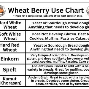 Op de afbeelding: Een witte tabel met de titel "Wheat Berry Use Chart" met informatie over verschillende tarwevariëteiten. Bevat details over harde witte tarwe, zachte witte tarwe, harde rode tarwe, einkorn, spelt en kamut, met hun toepassingen.