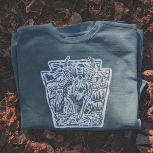 May include: A teal-colored sweatshirt featuring a white and gray graphic of a deer within a Pennsylvania keystone shape. The graphic includes a landscape with trees and mountains. The sweatshirt is folded on a bed of brown leaves.
