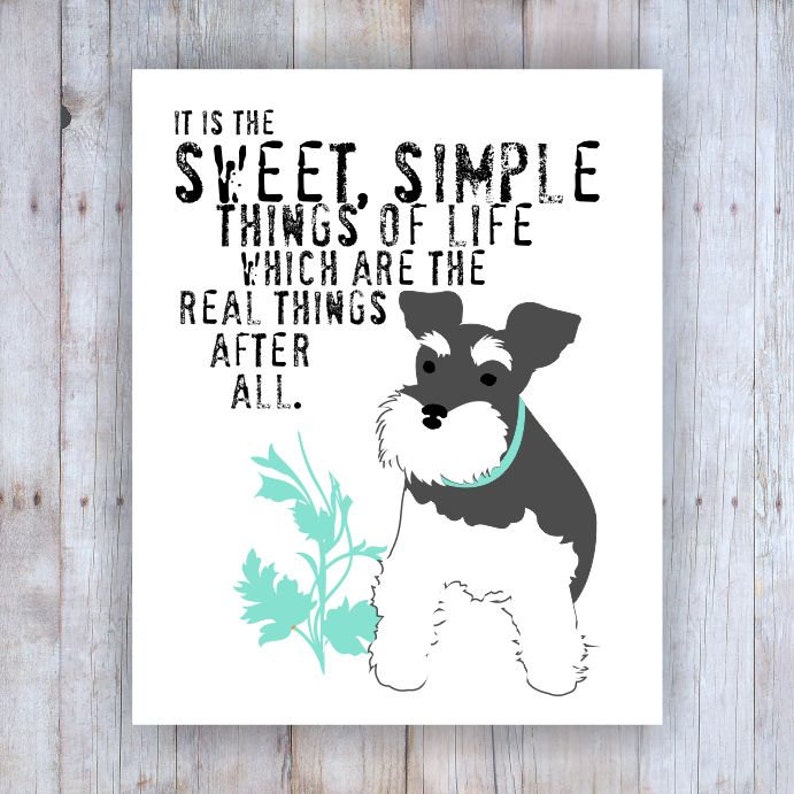 Miniature Schnauzer Art Schnauzer Print Mini Schnauzer Dog - Etsy