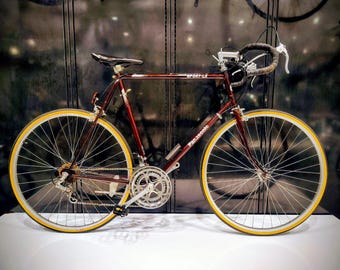 Vintage Panasonic Sport LX Road Bicycle