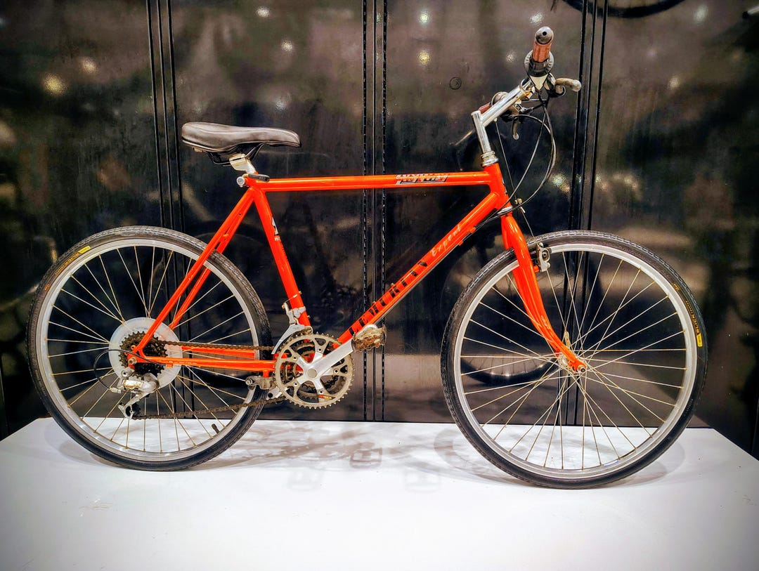 Vintage Skyway Lemurian Expert Hybrid Bicycle - Etsy