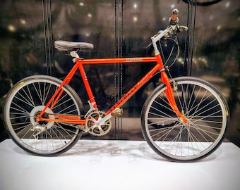 Vintage Skyway Lemurian Expert Hybrid Bicycle - Etsy