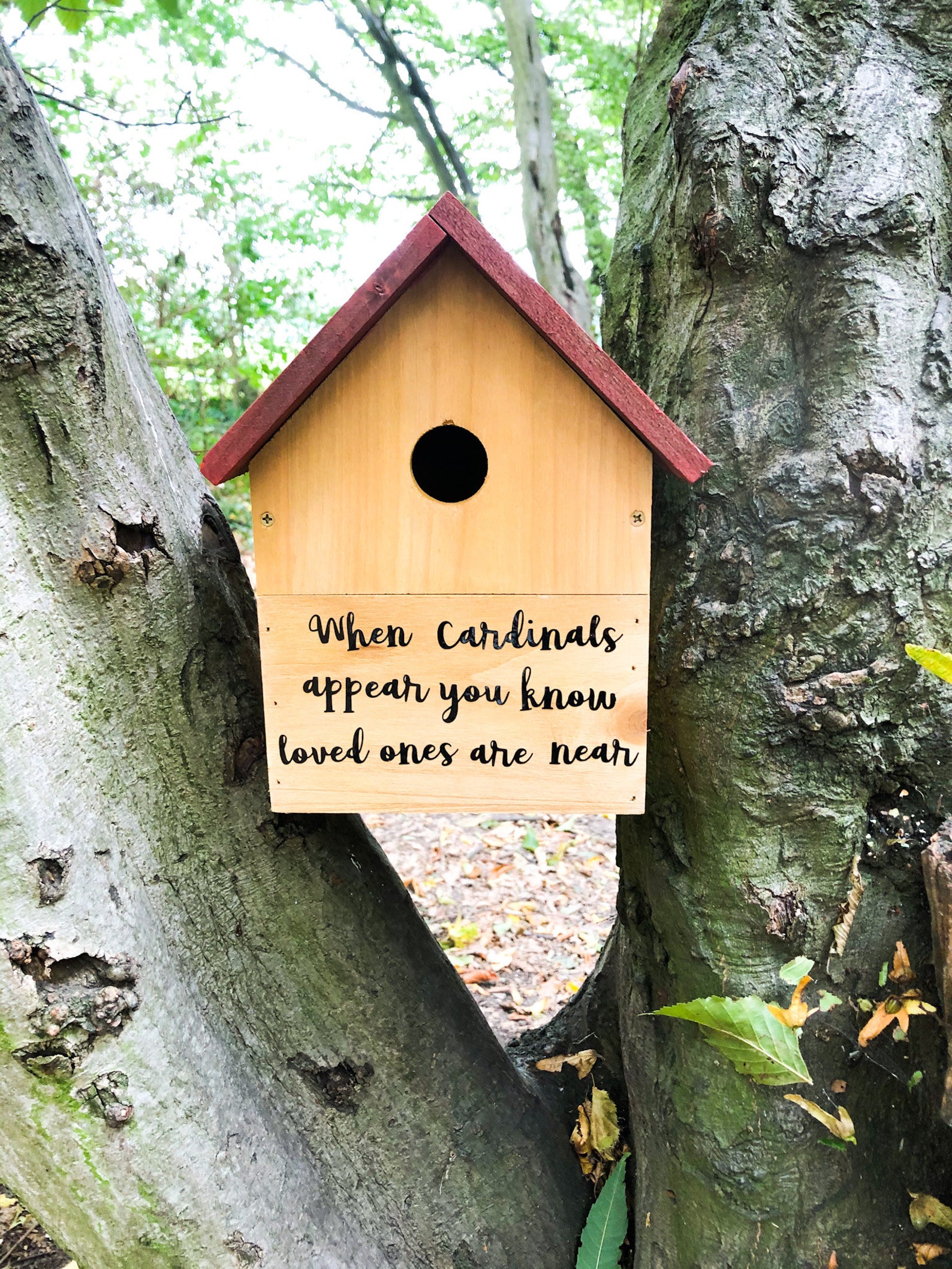 Cardinal Cardinal Bird Box When a Cardinal Appears Nesting - Etsy