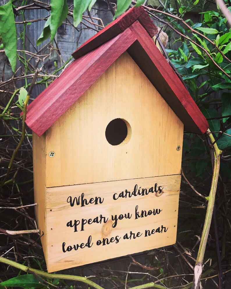 Cardinal Cardinal bird box when a cardinal appears nesting Etsy
