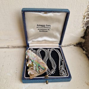 May include: A necklace with a triangular iridescent abalone shell pendant on a silver-toned metal chain, presented in a blue hinged jewellery box with white satin lining printed with the text Alexander Scott Limited Jewellers & Silversmiths.