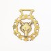 Wolf horse brass: Rare unusual wolf or fox face antique horse brass, Victorian ornament, Victoriana horse brass, fox, wolf, fox face