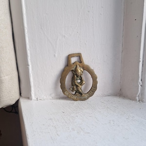 May include: A vintage brass horse brass with a seated pixie design. The words "DEVON PIXIE" are inscribed around the edge of the circular frame. It has a rectangular loop at the top for hanging, and is made of brass.