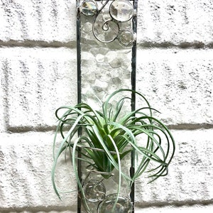 Air Plant Holder, Clear Textured Glass