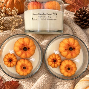 Può includere: Tre candele di cera di soia in contenitori di vetro trasparente, decorate con piccole figure di cera a forma di zucca arancione. L'etichetta sulla candela superiore riporta la scritta Sanaz Signature Scents, Pumpkin Pie, 15 oz, Soy Candle - Handmade in Canada.