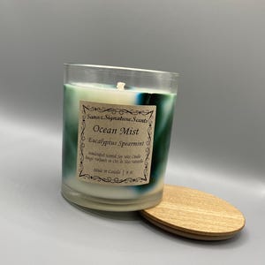 Può includere: Una candela in vetro trasparente con un design marmorizzato bianco e verde. L'etichetta recita "Sanaz.Signature.Scents Ocean Mist Eucalyptus Spearmint Candela di soia profumata fatta a mano Bougie Parfumés en Cire de Soja Naturelle Prodotto in Canada | 8 oz".