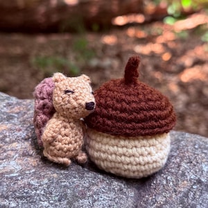 May include: A crocheted squirrel with a pink tail sits next to a crocheted acorn. The squirrel is tan with a dark brown nose and closed eyes. The acorn has a brown top and a cream-colored base. The items are on a gray rock.