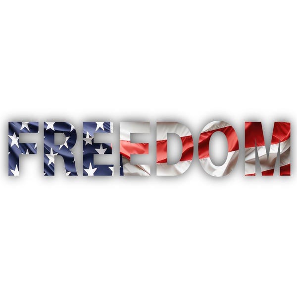 Pegatina de vinilo con diseño de letras de la bandera estadounidense "Freedom" (Patriótica, hecha en EE. UU.)