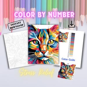 Może przedstawiać: Kolorowy wydruk artystyczny z wizerunkiem kota z napisami "Color by Number" i "Instant Download". Obraz zawiera przewodnik po kolorach i rysunek linii kota. Widoczne są również słowa "Stress Relief".
